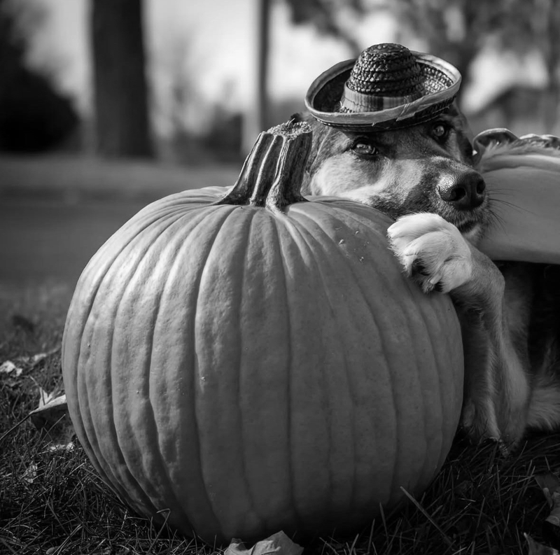 Gary, official quality inspector.